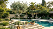 Established landscaped garden illustrating layered planting; not a specific screening hedge