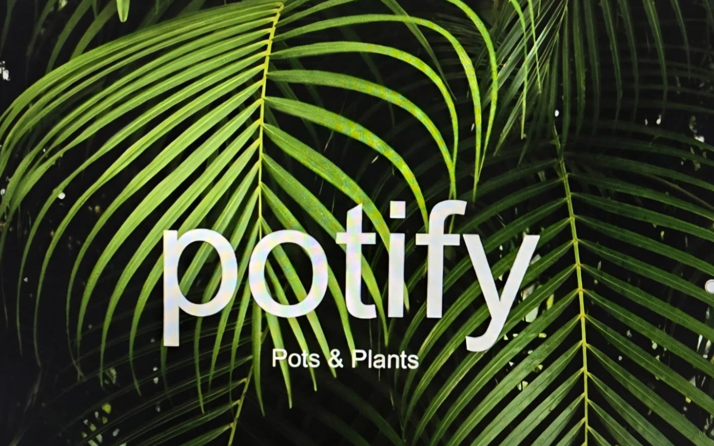 Potify